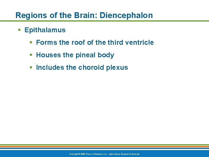 Regions of the Brain: Diencephalon § Epithalamus § Forms the roof of the third