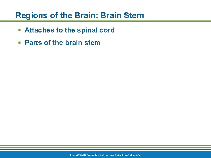 Regions of the Brain: Brain Stem § Attaches to the spinal cord § Parts