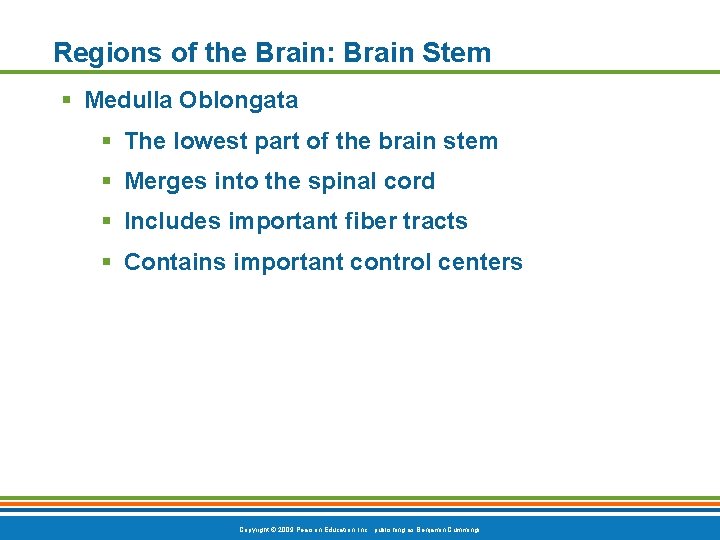 Regions of the Brain: Brain Stem § Medulla Oblongata § The lowest part of