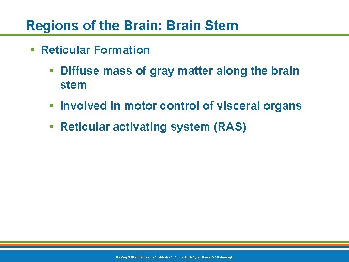 Regions of the Brain: Brain Stem § Reticular Formation § Diffuse mass of gray