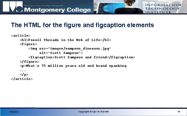 The HTML for the figure and figcaption elements <article> <h 1>Fossil Threads in the