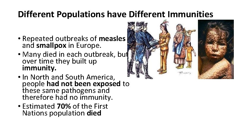 Different Populations have Different Immunities • Repeated outbreaks of measles and smallpox in Europe.