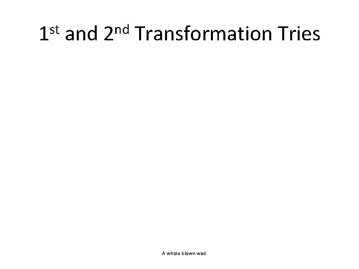 1 st and 2 nd Transformation Tries A whole blown wad 