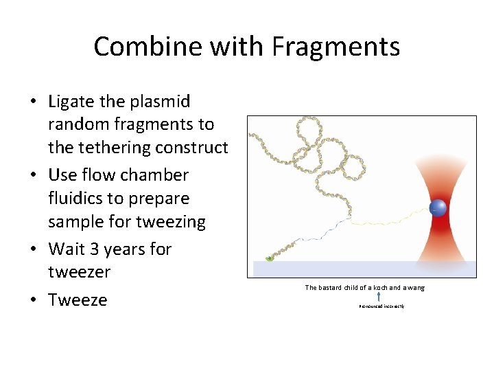 Combine with Fragments • Ligate the plasmid random fragments to the tethering construct •