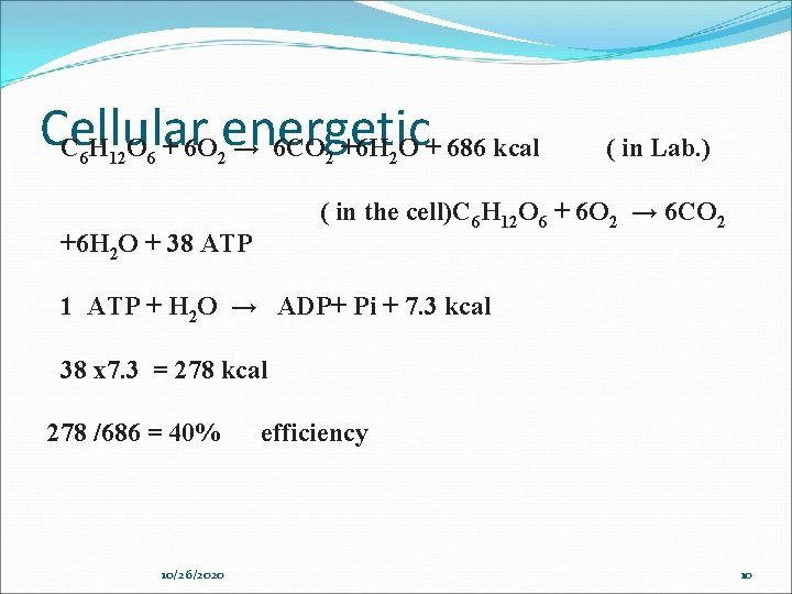 Cellular energetic C H O + 6 O → 6 CO +6 H O