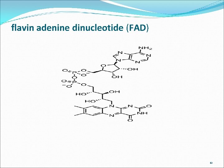 flavin adenine dinucleotide (FAD) 12 