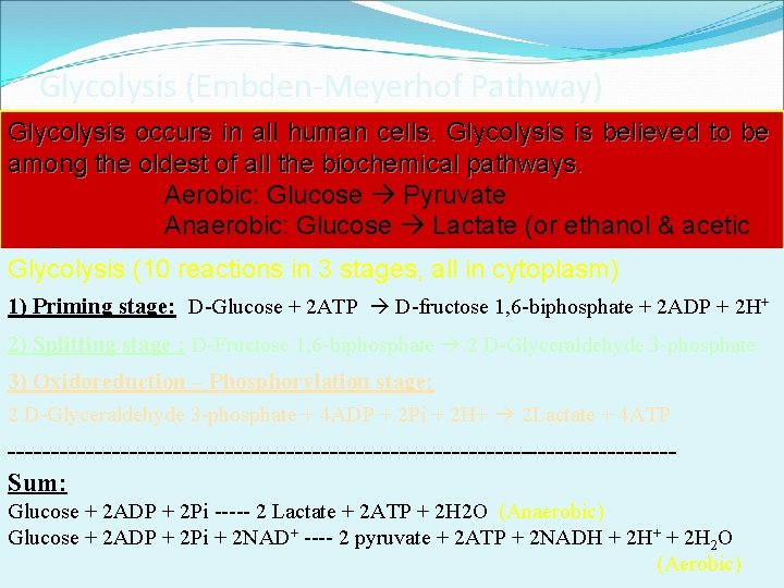 Glycolysis (Embden-Meyerhof Pathway) Glycolysis occurs in all human cells. Glycolysis is believed to be