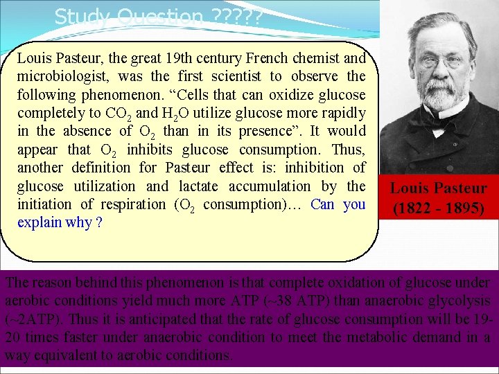 Study Question ? ? ? Louis Pasteur, the great 19 th century French chemist