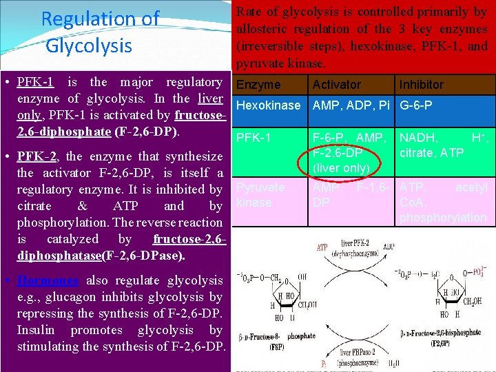 Regulation of Glycolysis Rate of glycolysis is controlled primarily by allosteric regulation of the