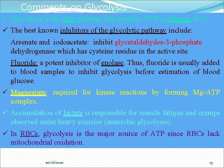 Comments on Glycolysis ü Glycolysis is the only pathway that produce ATP in absence