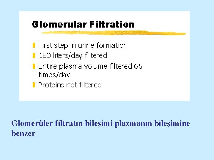 Glomerüler filtratın bileşimi plazmanın bileşimine benzer 