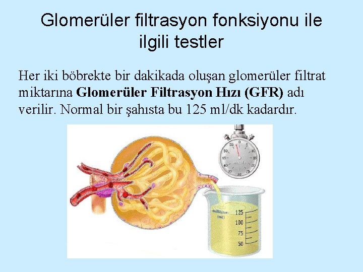 Glomerüler filtrasyon fonksiyonu ile ilgili testler Her iki böbrekte bir dakikada oluşan glomerüler filtrat