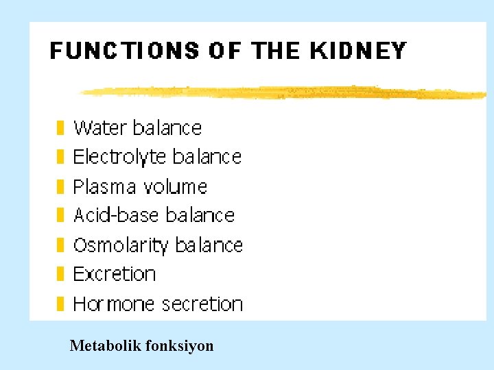 Metabolik fonksiyon 