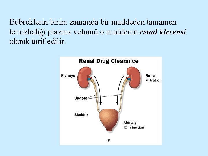 Böbreklerin birim zamanda bir maddeden tamamen temizlediği plazma volumü o maddenin renal klerensi olarak