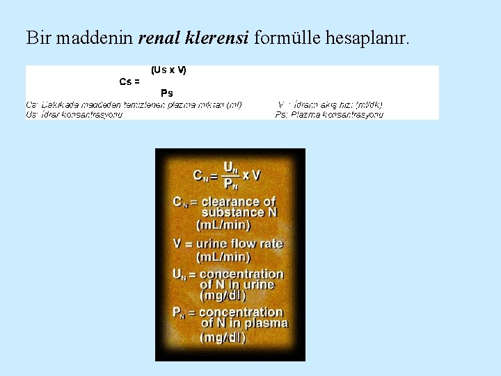 Bir maddenin renal klerensi formülle hesaplanır. 