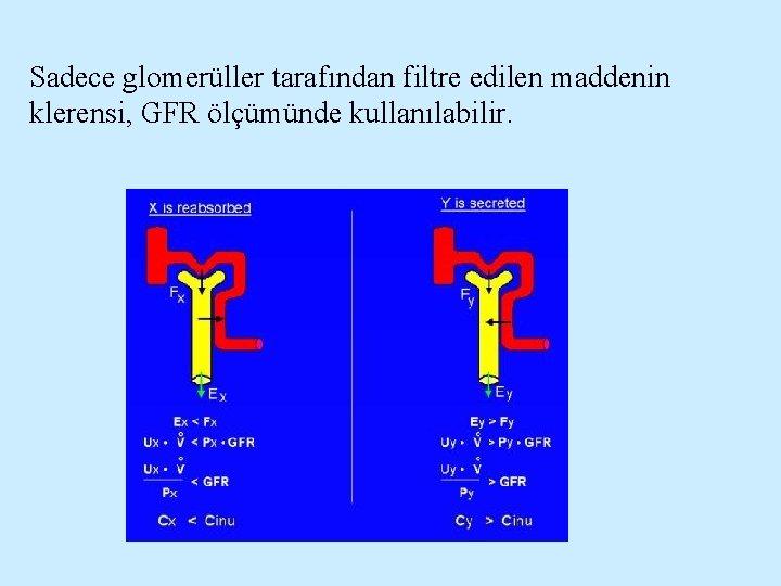 Sadece glomerüller tarafından filtre edilen maddenin klerensi, GFR ölçümünde kullanılabilir. 