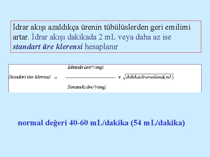 İdrar akışı azaldıkça ürenin tübülüslerden geri emilimi artar. İdrar akışı dakikada 2 m. L