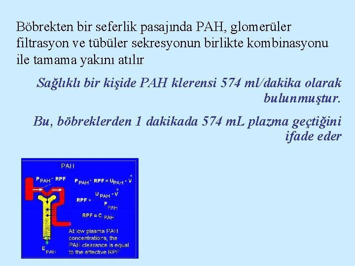 Böbrekten bir seferlik pasajında PAH, glomerüler filtrasyon ve tübüler sekresyonun birlikte kombinasyonu ile tamama