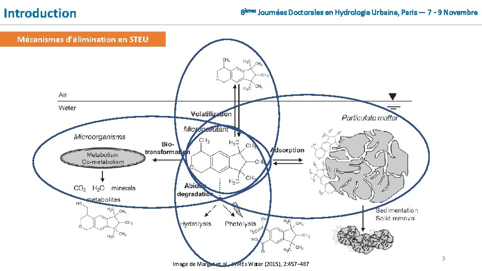 Introduction 8èmes Journées Doctorales en Hydrologie Urbaine, Paris — 7 - 9 Novembre Mécanismes