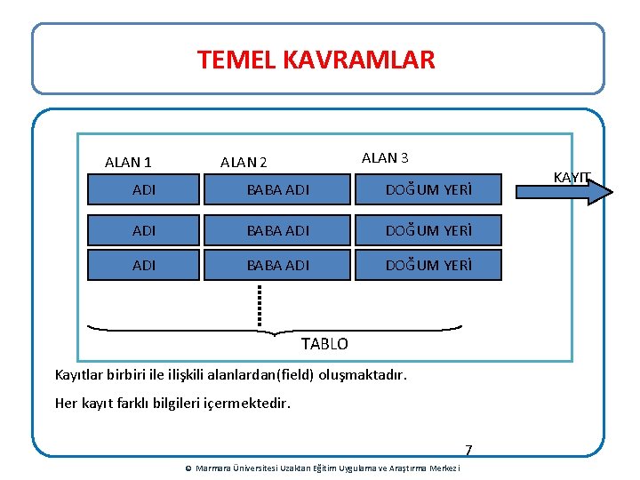 TEMEL KAVRAMLAR ALAN 1 ALAN 3 ALAN 2 ADI BABA ADI DOĞUM YERİ TABLO