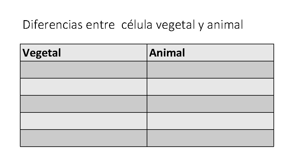 Diferencias entre célula vegetal y animal Vegetal Animal 