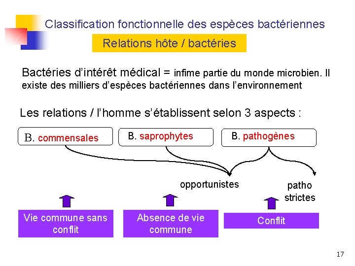 Classification fonctionnelle des espèces bactériennes Relations hôte / bactéries Bactéries d’intérêt médical = infime