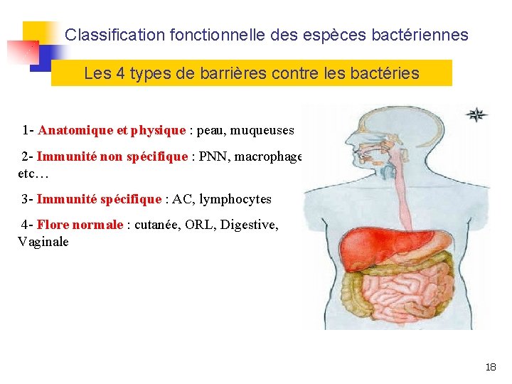 Classification fonctionnelle des espèces bactériennes Les 4 types de barrières contre les bactéries 1