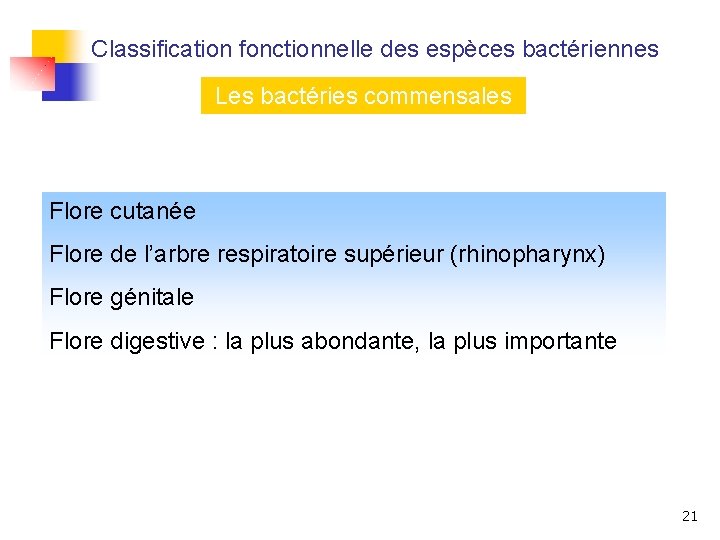 Classification fonctionnelle des espèces bactériennes Les bactéries commensales Flore cutanée Flore de l’arbre respiratoire