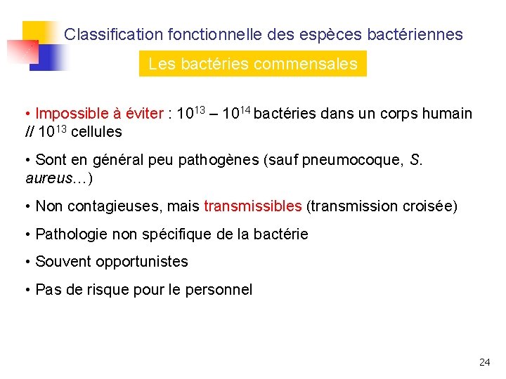 Classification fonctionnelle des espèces bactériennes Les bactéries commensales • Impossible à éviter : 1013