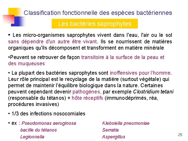 Classification fonctionnelle des espèces bactériennes Les bactéries saprophytes • Les micro-organismes saprophytes vivent dans