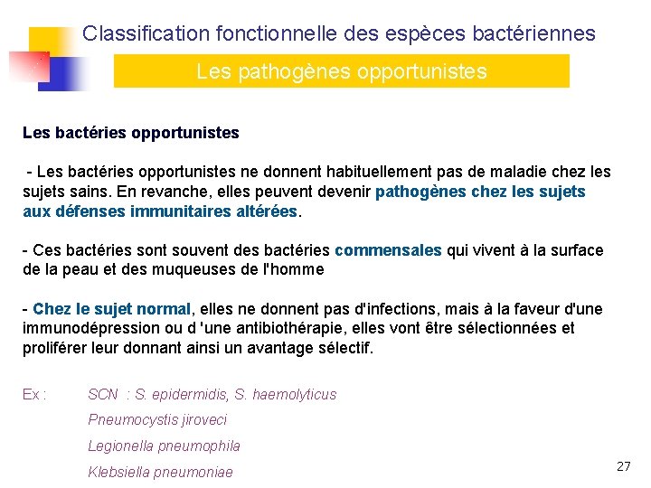 Classification fonctionnelle des espèces bactériennes Les pathogènes opportunistes Les bactéries opportunistes - Les bactéries