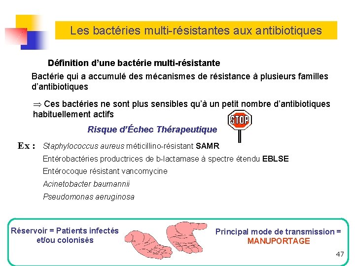 Les bactéries multi-résistantes aux antibiotiques Définition d’une bactérie multi-résistante Bactérie qui a accumulé des