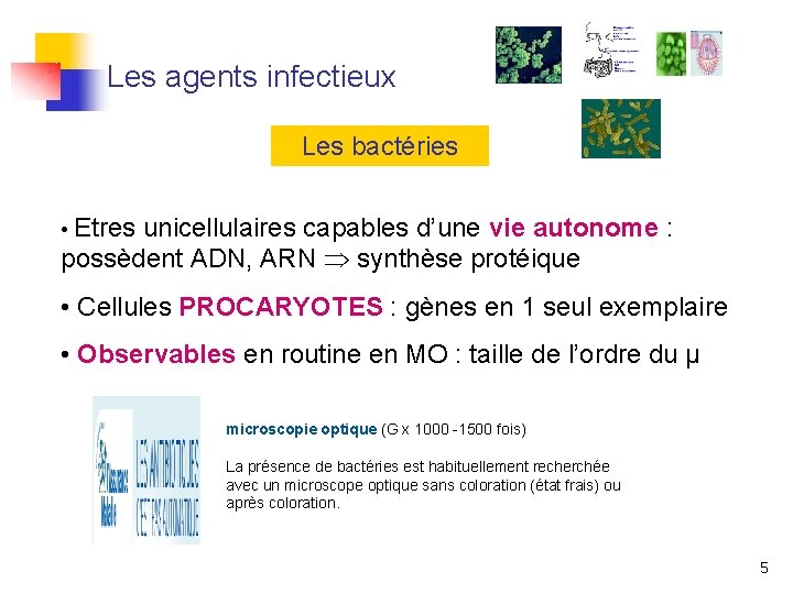 Les agents infectieux Les bactéries • Etres unicellulaires capables d’une vie autonome : possèdent