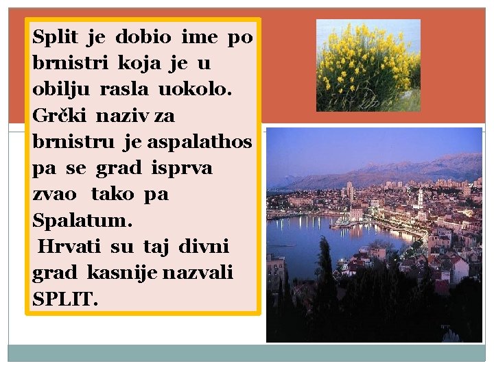 Split je dobio ime po brnistri koja je u obilju rasla uokolo. Grčki naziv