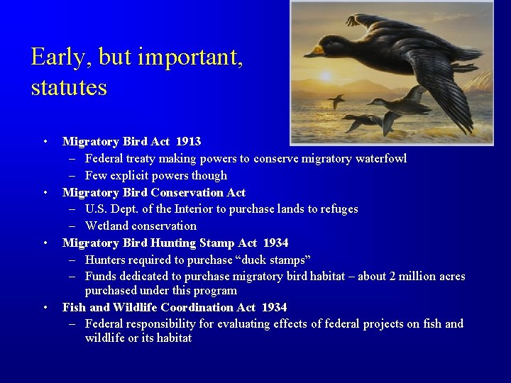 Early, but important, statutes • • Migratory Bird Act 1913 – Federal treaty making