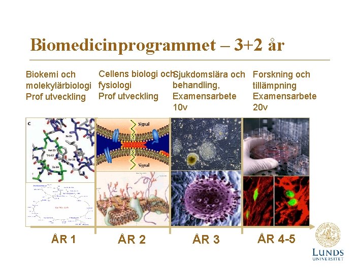 Biomedicinprogrammet – 3+2 år Cellens biologi och. Sjukdomslära och Biokemi och behandling, molekylärbiologi fysiologi