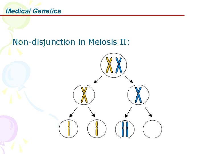 Medical Genetics Non-disjunction in Meiosis II: 