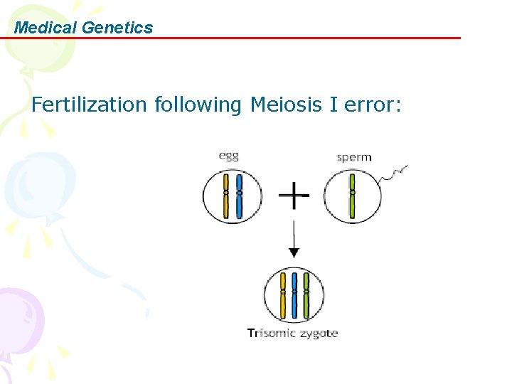 Medical Genetics Fertilization following Meiosis I error: 