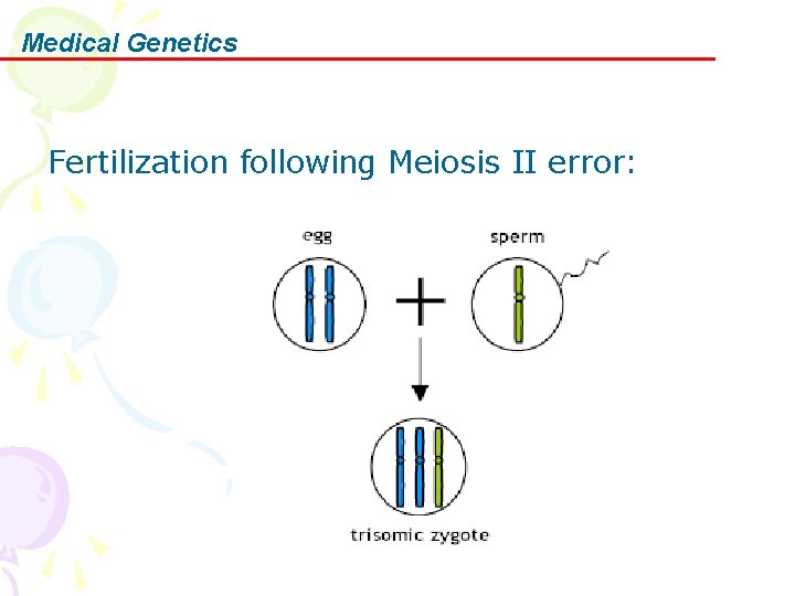 Medical Genetics Fertilization following Meiosis II error: 