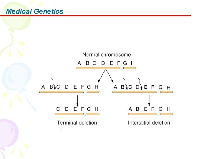 Medical Genetics 