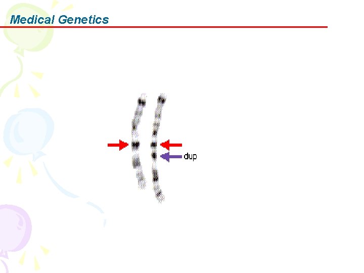 Medical Genetics 