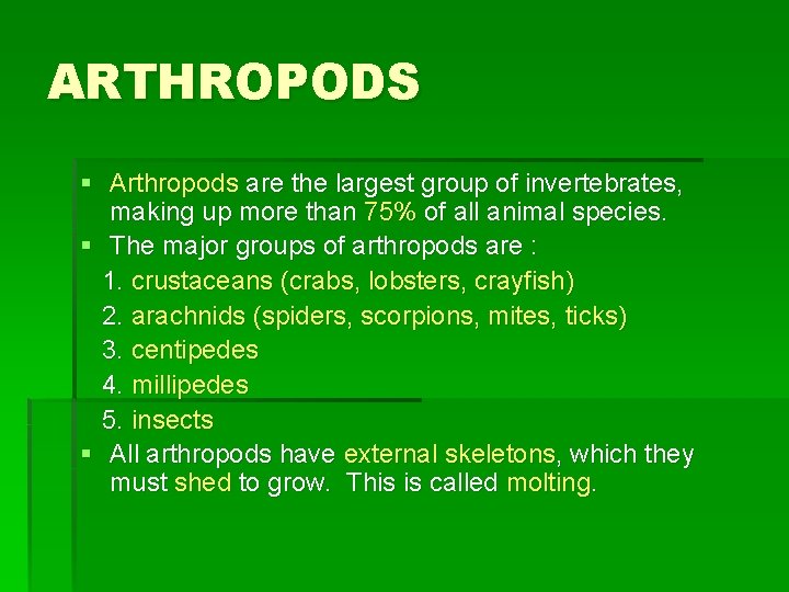 ARTHROPODS § Arthropods are the largest group of invertebrates, making up more than 75%