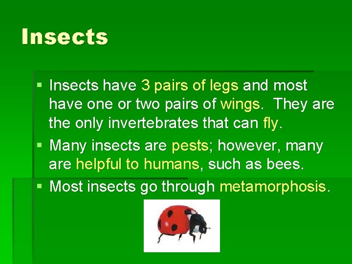 Insects § Insects have 3 pairs of legs and most have one or two