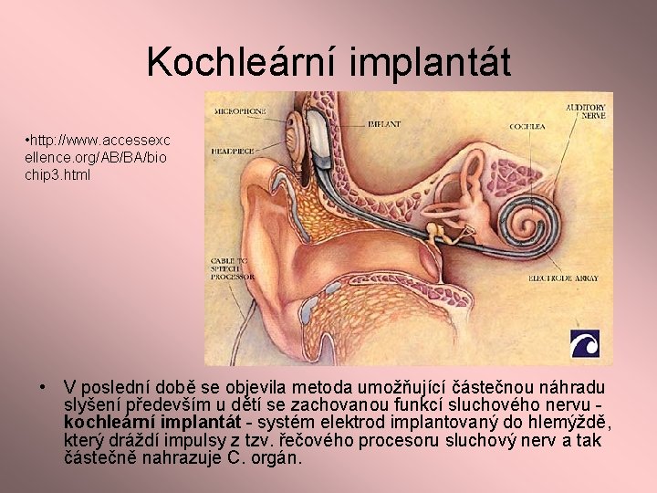 Kochleární implantát • http: //www. accessexc ellence. org/AB/BA/bio chip 3. html • V poslední