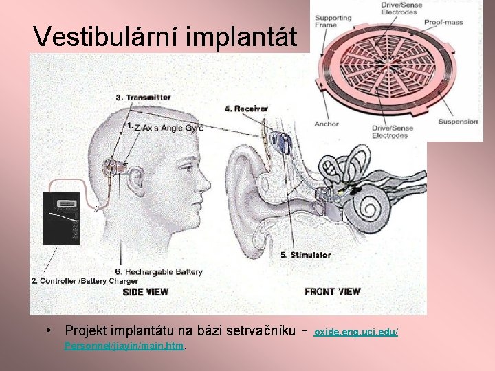 Vestibulární implantát • Projekt implantátu na bázi setrvačníku Personnel/jiayin/main. htm. - oxide. eng. uci.