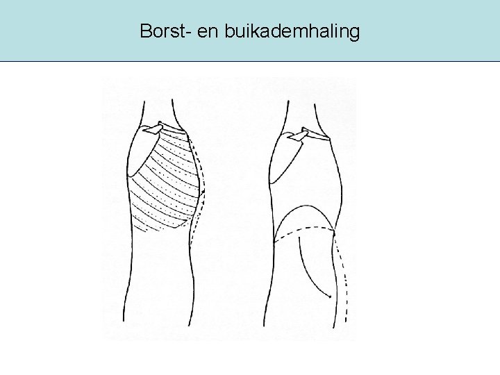 Borst- en buikademhaling 