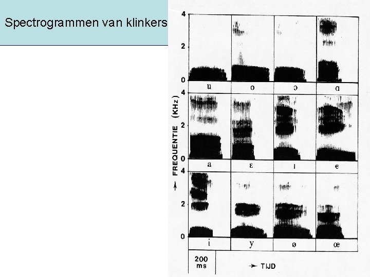 Spectrogrammen van klinkers 