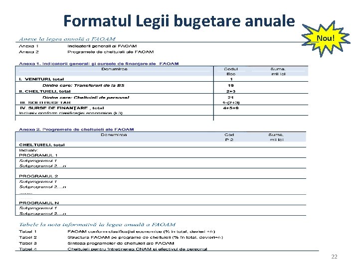 Formatul Legii bugetare anuale Nou! 22 