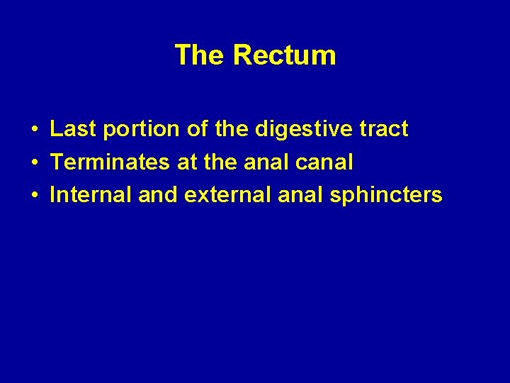 The Rectum • Last portion of the digestive tract • Terminates at the anal