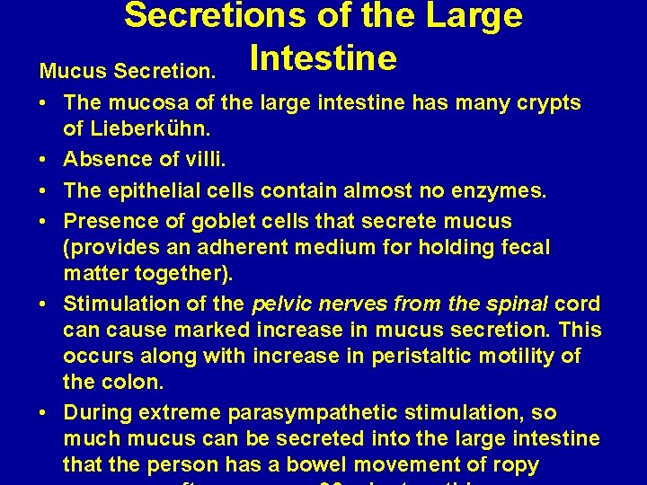 Secretions of the Large Mucus Secretion. Intestine • The mucosa of the large intestine